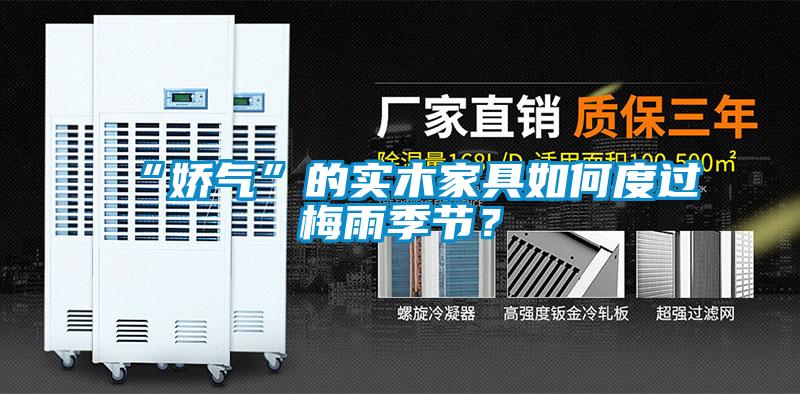 “嬌氣”的實木家具如何度過梅雨季節(jié)？