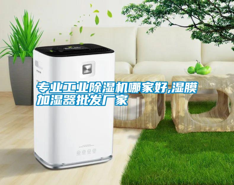 專業(yè)工業(yè)除濕機哪家好,濕膜加濕器批發(fā)廠家
