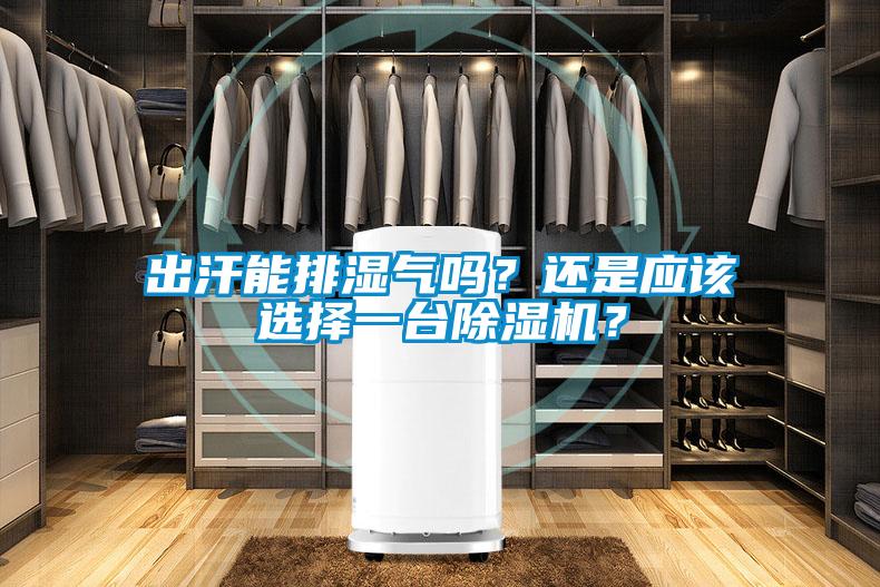 出汗能排濕氣嗎？還是應(yīng)該選擇一臺除濕機(jī)？