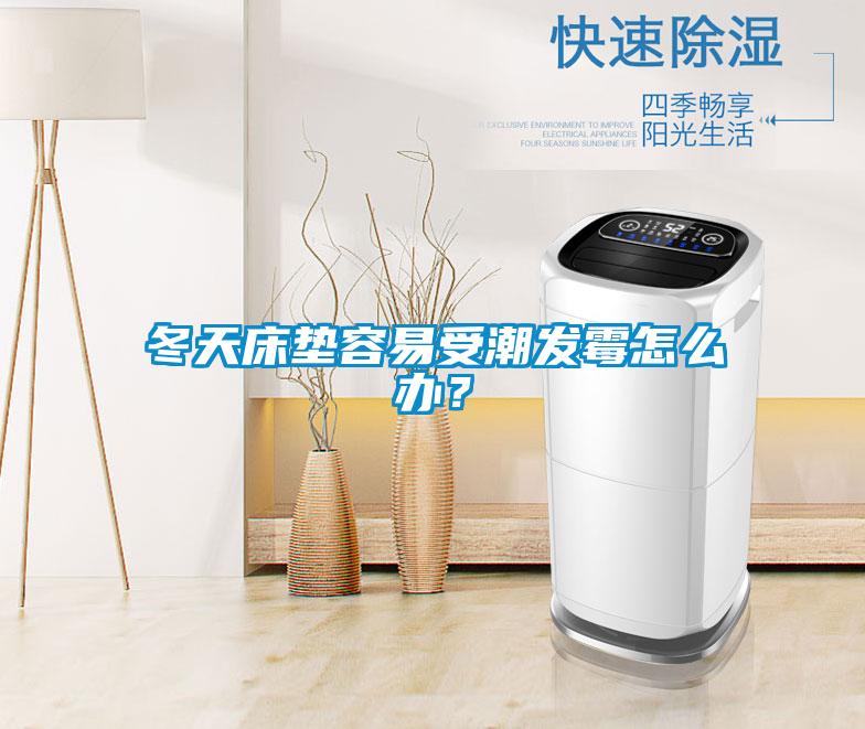 冬天床墊容易受潮發霉怎么辦？