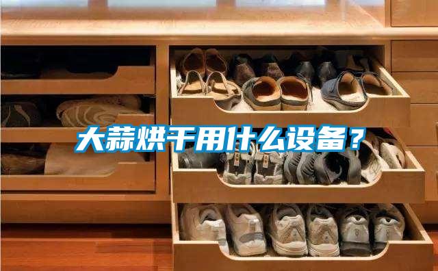 大蒜烘干用什么設(shè)備?