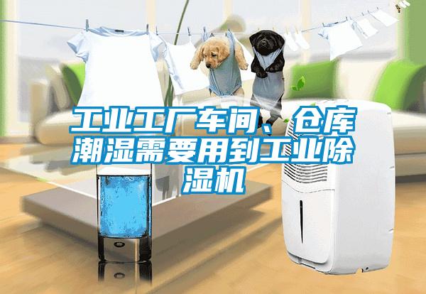 工業(yè)工廠車間、倉庫潮濕需要用到工業(yè)除濕機