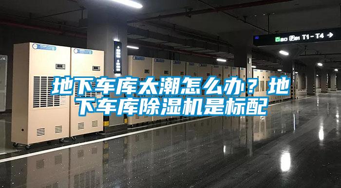 地下車庫太潮怎么辦?地下車庫除濕機(jī)是標(biāo)配