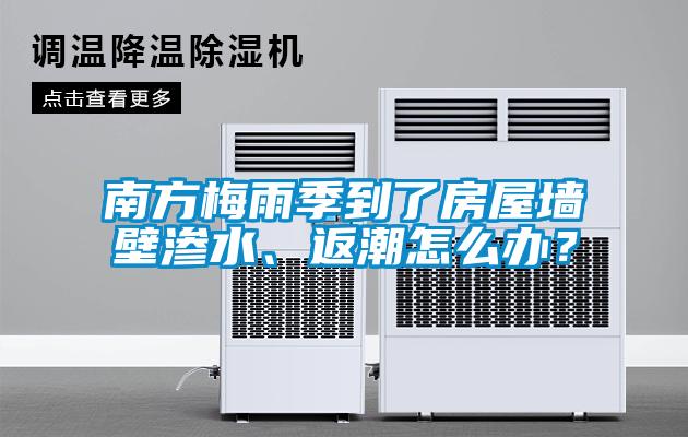南方梅雨季到了房屋墻壁滲水、返潮怎么辦？