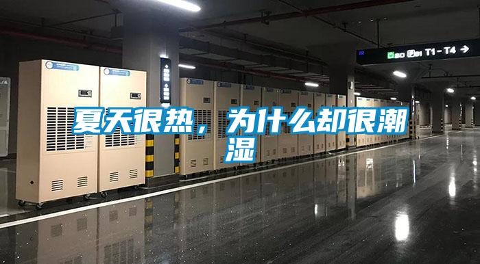 夏天很熱，為什么卻很潮濕