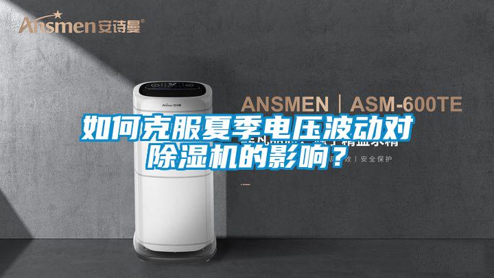 如何克服夏季電壓波動對除濕機的影響？