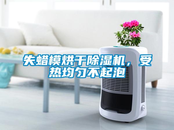 失蠟模烘干除濕機,受熱均勻不起泡