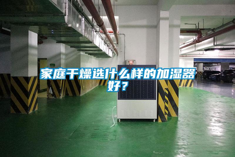 家庭干燥選什么樣的加濕器好?