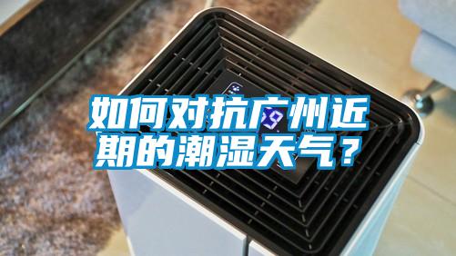如何對(duì)抗廣州近期的潮濕天氣？