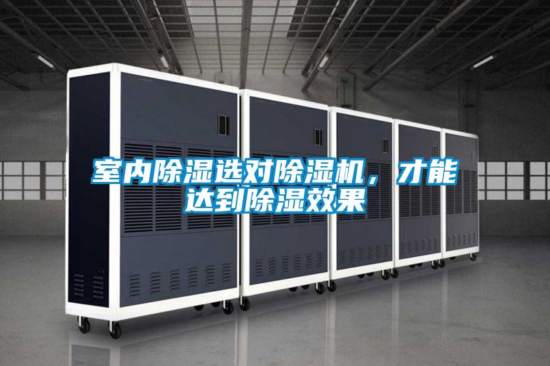 室內除濕選對除濕機，才能達到除濕效果