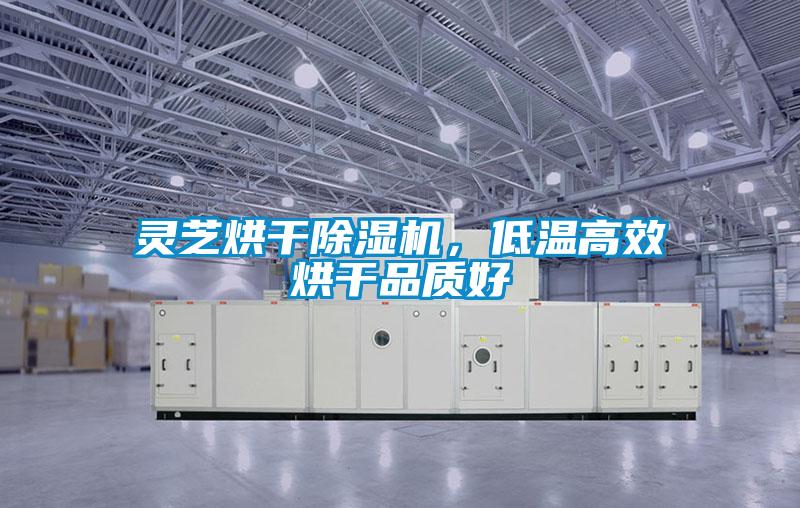靈芝烘干除濕機(jī)，低溫高效烘干品質(zhì)好