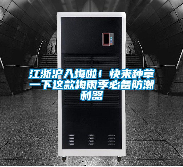 江浙滬入梅啦！快來種草一下這款梅雨季必備防潮利器