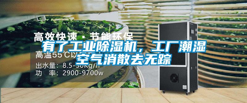 有了工業除濕機,工廠潮濕空氣消散去無蹤