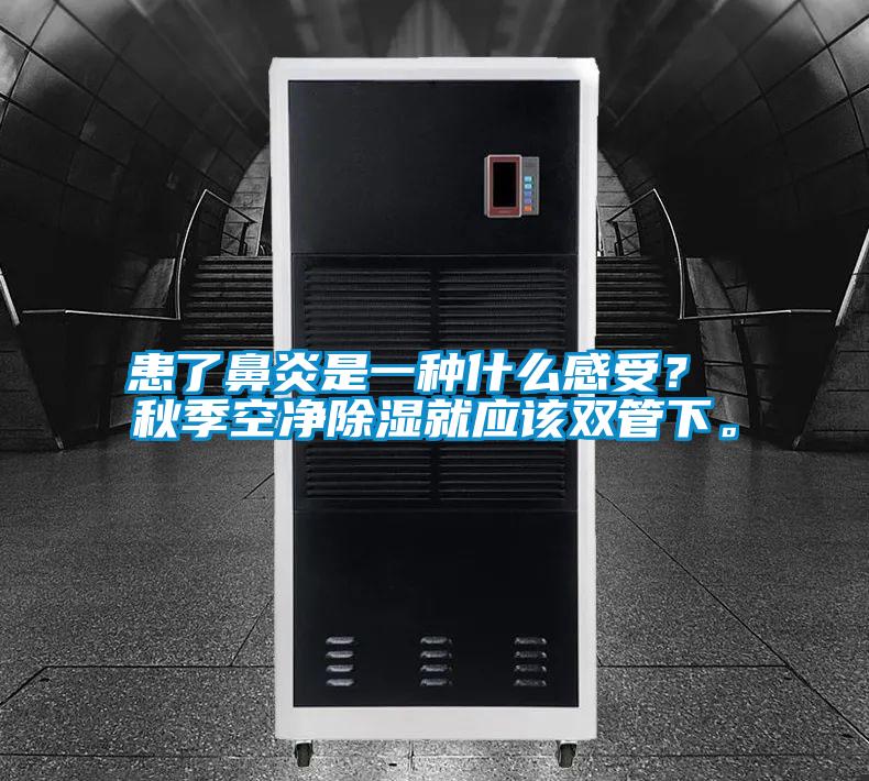 患了鼻炎是一種什么感受？ 秋季空凈除濕就應(yīng)該雙管下。