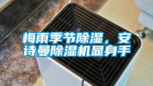 梅雨季節除濕，安詩曼除濕機顯身手