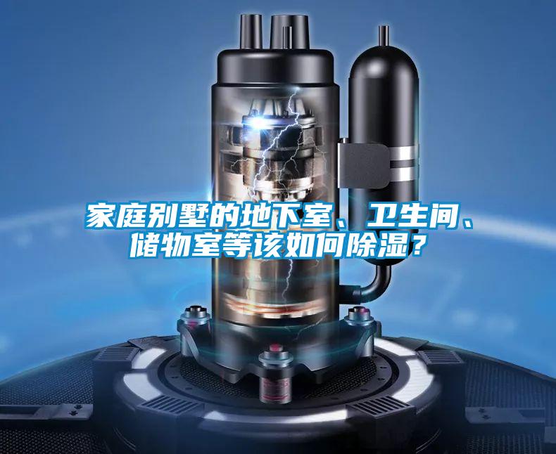 家庭別墅的地下室、衛(wèi)生間、儲(chǔ)物室等該如何除濕?