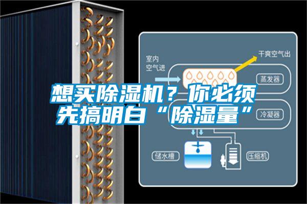 想買除濕機？你必須先搞明白“除濕量”