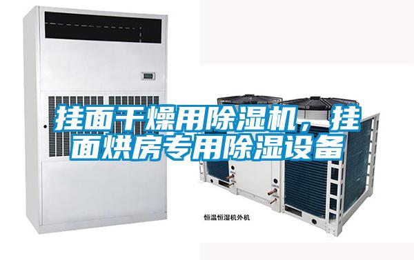 掛面干燥用除濕機，掛面烘房專用除濕設備