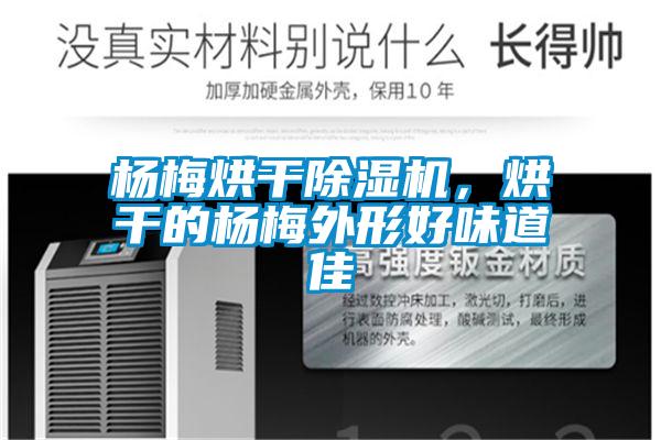 楊梅烘干除濕機，烘干的楊梅外形好味道佳