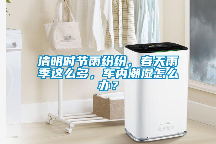 清明時節雨紛紛,春天雨季這么多,車內潮濕怎么辦?
