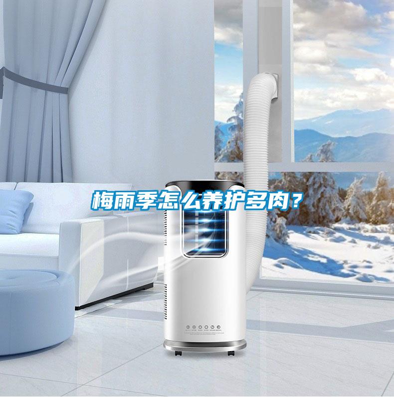 梅雨季怎么養(yǎng)護(hù)多肉？