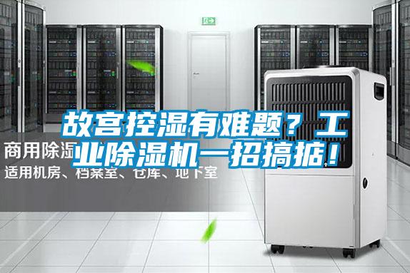 故宮控濕有難題？工業(yè)除濕機(jī)一招搞掂！