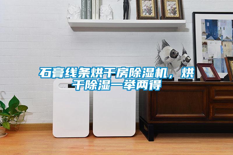 石膏線條烘干房除濕機(jī),烘干除濕一舉兩得