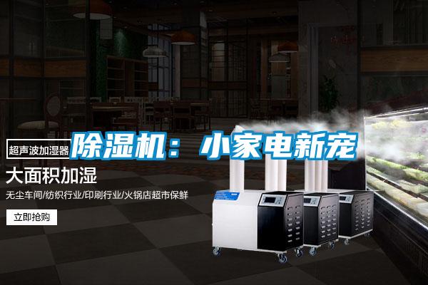 除濕機:小家電新寵