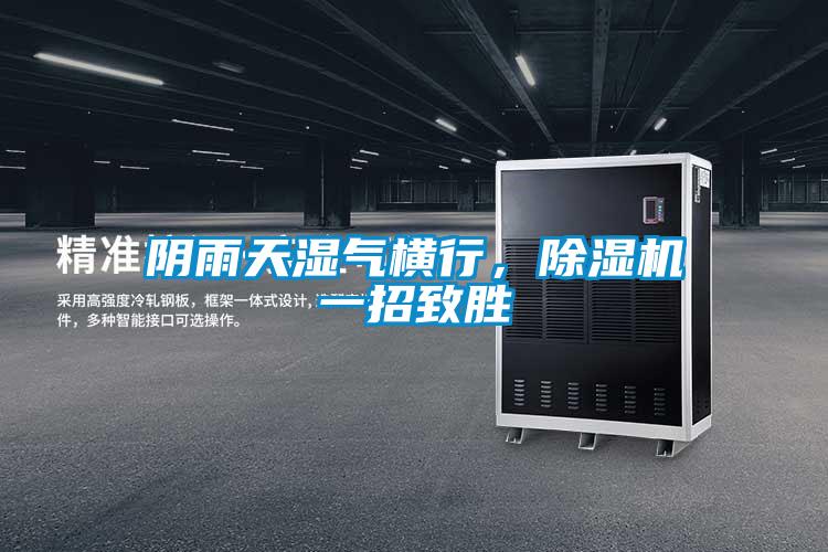 陰雨天濕氣橫行,除濕機一招致勝