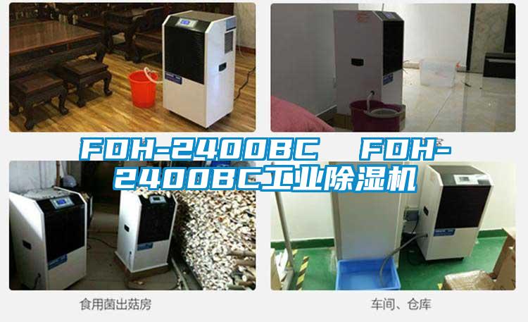 FDH-2400BC FDH-2400BC工業除濕機