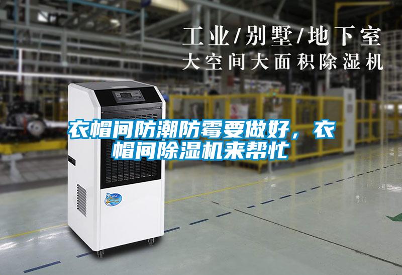 衣帽間防潮防霉要做好，衣帽間除濕機(jī)來幫忙