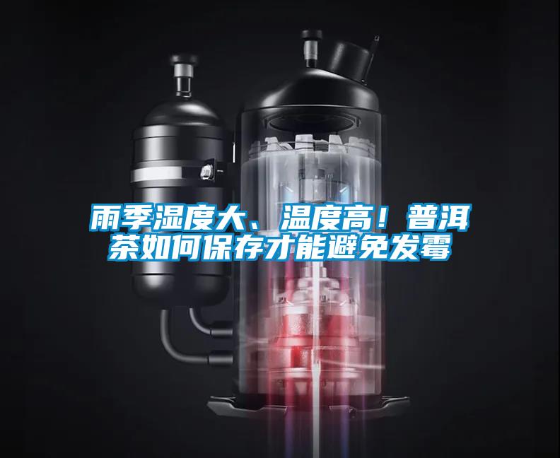 雨季濕度大、溫度高！普洱茶如何保存才能避免發(fā)霉