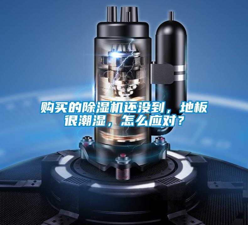 購買的除濕機還沒到,地板很潮濕,怎么應對?