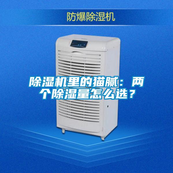 除濕機(jī)里的貓膩:兩個除濕量怎么選?