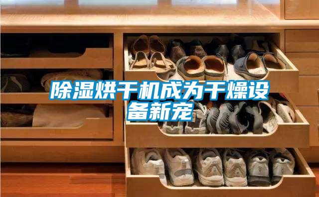 除濕烘干機成為干燥設(shè)備新寵