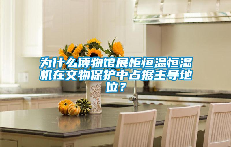 為什么博物館展柜恒溫恒濕機在文物保護中占據(jù)主導(dǎo)地位?