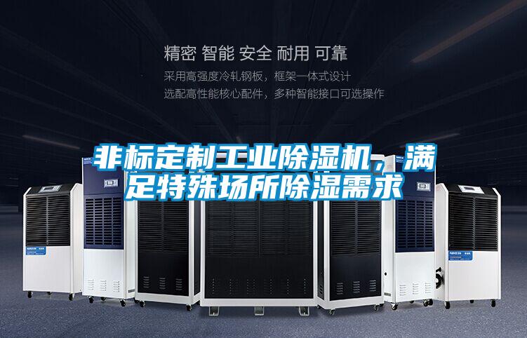 非標(biāo)定制工業(yè)除濕機(jī)，滿足特殊場所除濕需求