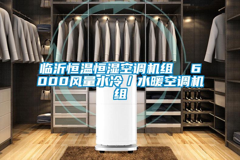 臨沂恒溫恒濕空調(diào)機組 6000風(fēng)量水冷/水暖空調(diào)機組
