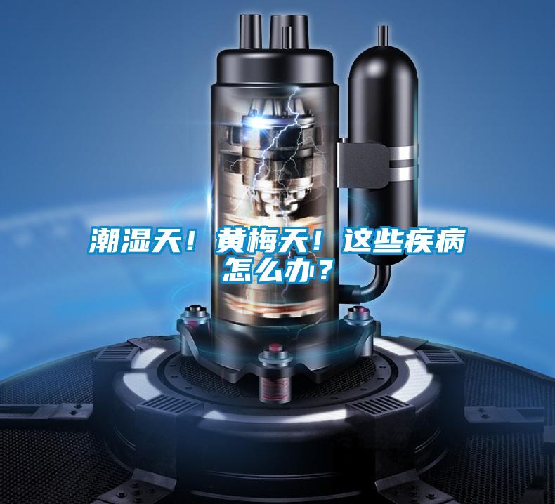 潮濕天！黃梅天！這些疾病怎么辦？