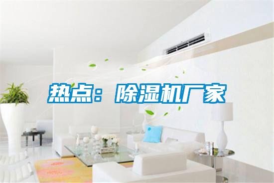 熱點:除濕機廠家