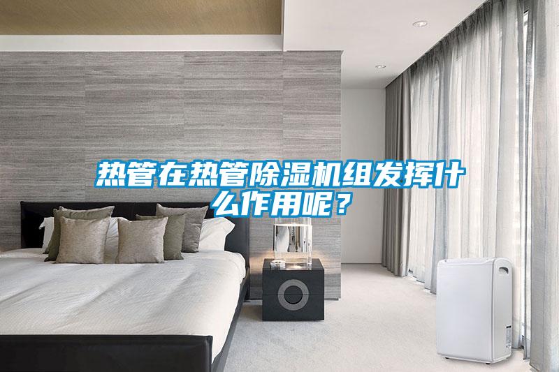 熱管在熱管除濕機組發揮什么作用呢?