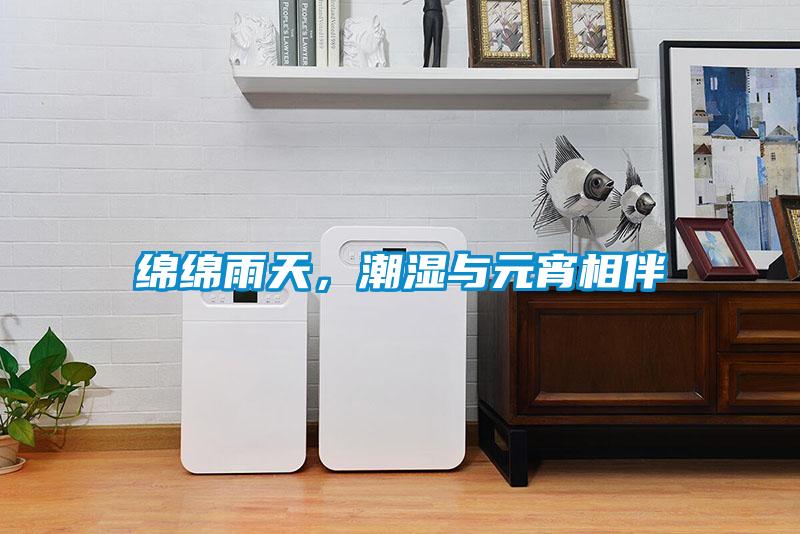 綿綿雨天，潮濕與元宵相伴