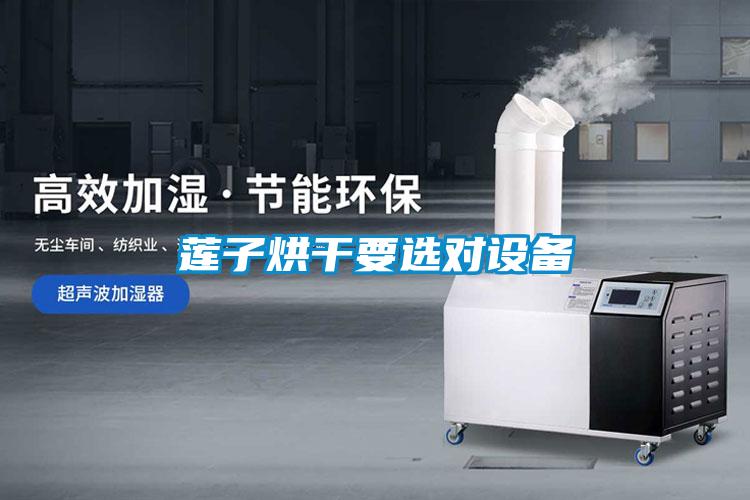 蓮子烘干要選對設備