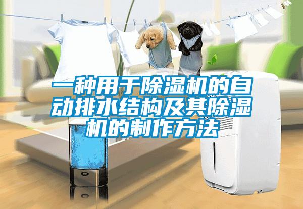 一種用于除濕機的自動排水結(jié)構(gòu)及其除濕機的制作方法