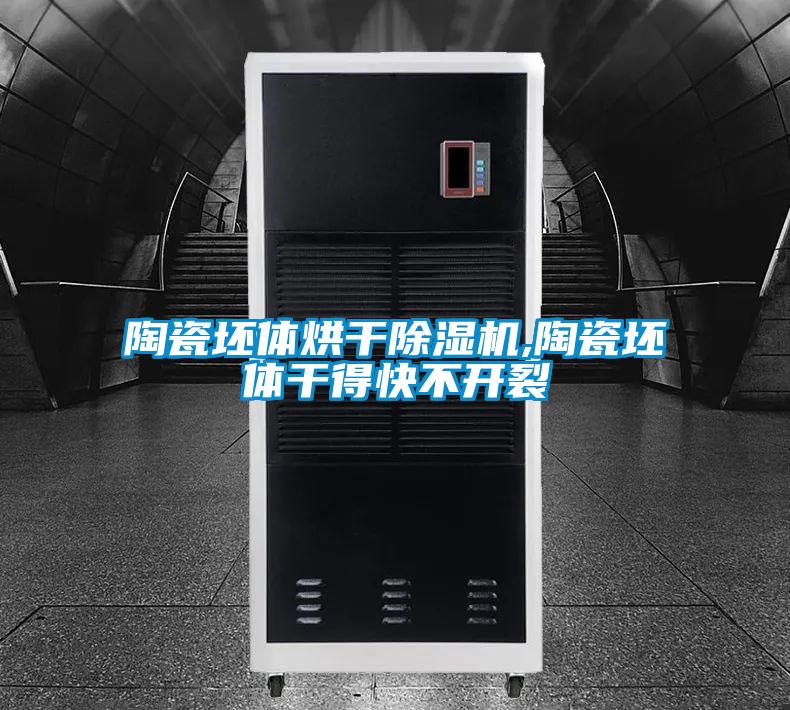 陶瓷坯體烘干除濕機(jī),陶瓷坯體干得快不開裂