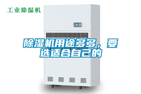 除濕機用途多多,要選適合自己的