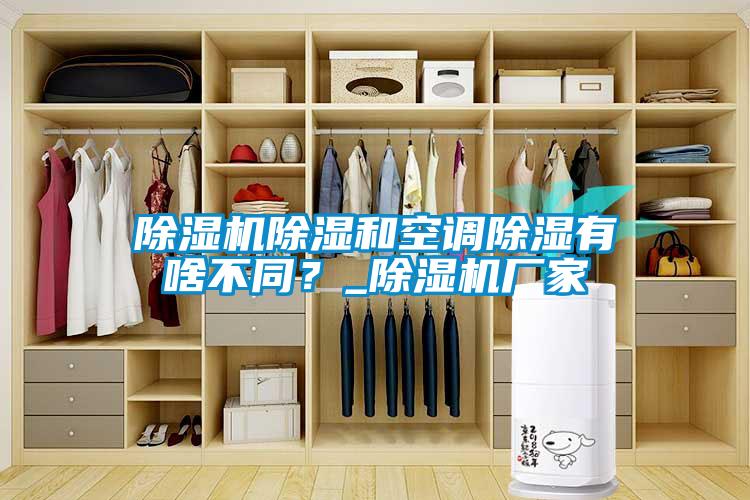 除濕機除濕和空調除濕有啥不同？_除濕機廠家