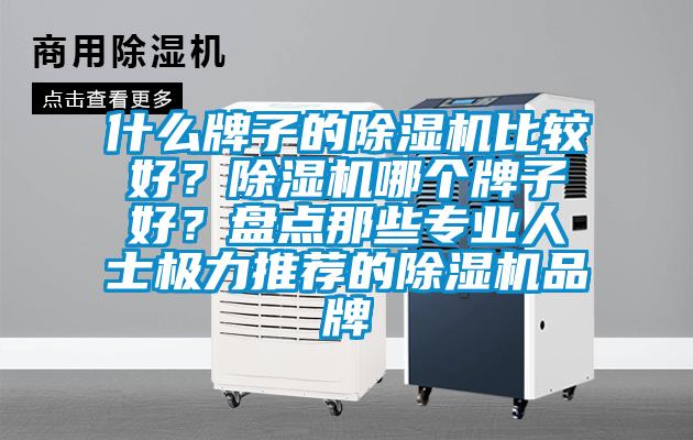 什么牌子的除濕機比較好？除濕機哪個牌子好？盤點那些專業(yè)人士極力推薦的除濕機品牌