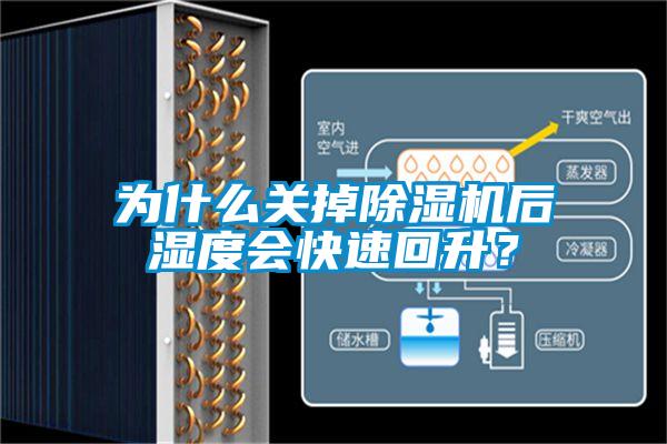 為什么關掉除濕機后濕度會快速回升？
