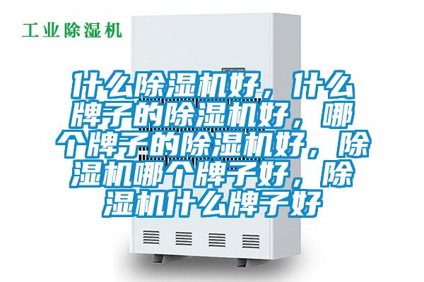 什么除濕機(jī)好，什么牌子的除濕機(jī)好，哪個牌子的除濕機(jī)好，除濕機(jī)哪個牌子好，除濕機(jī)什么牌子好